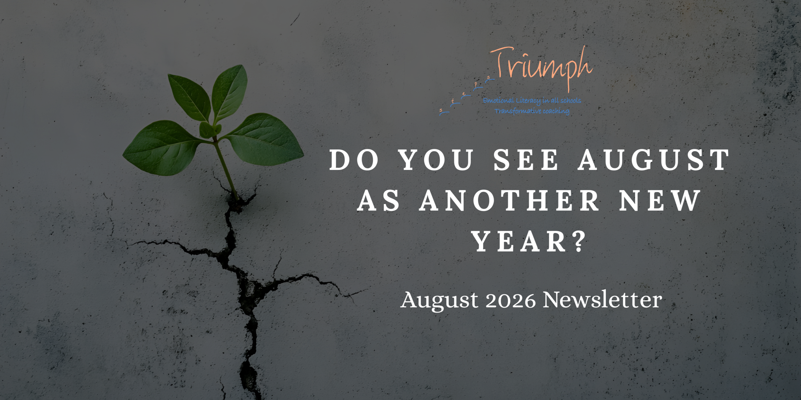 Newsletter Featured Images August Clinicians Triumph Steps